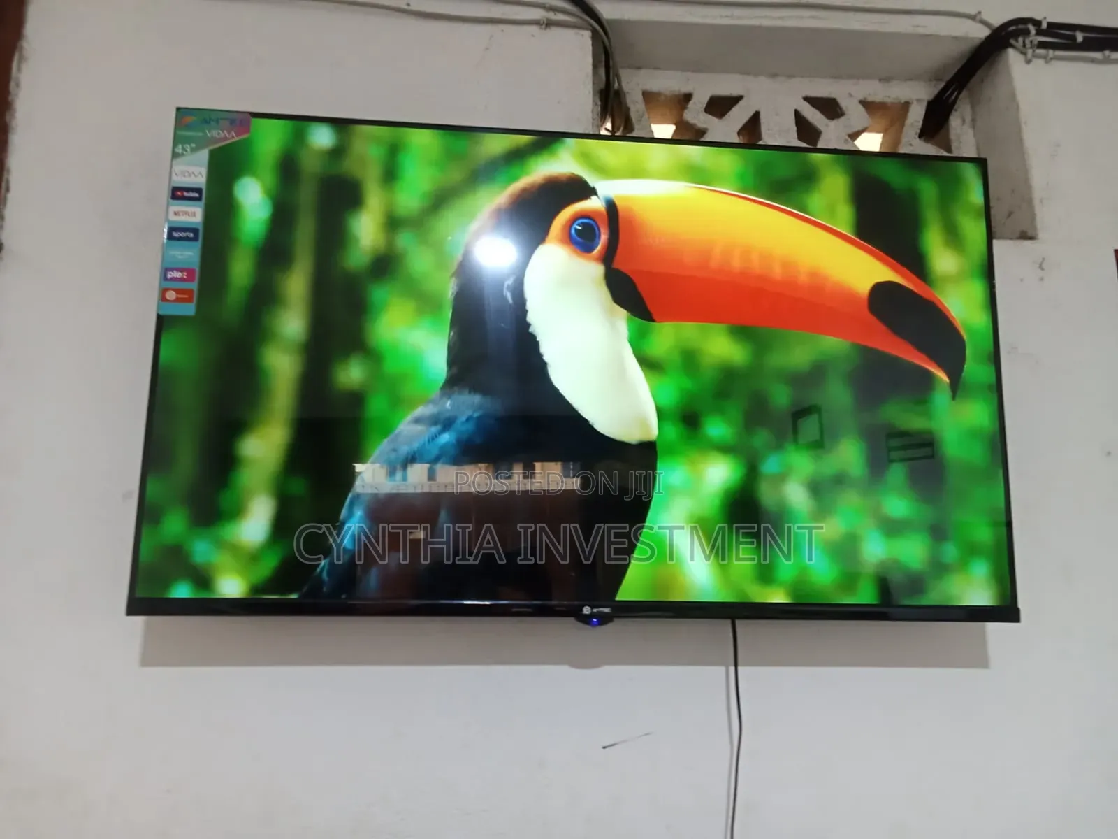 Amtec 43 Inch Smart TV
