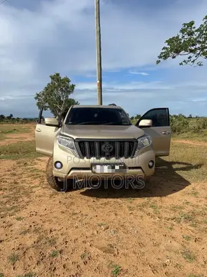Toyota Land Cruiser 2010 Gold