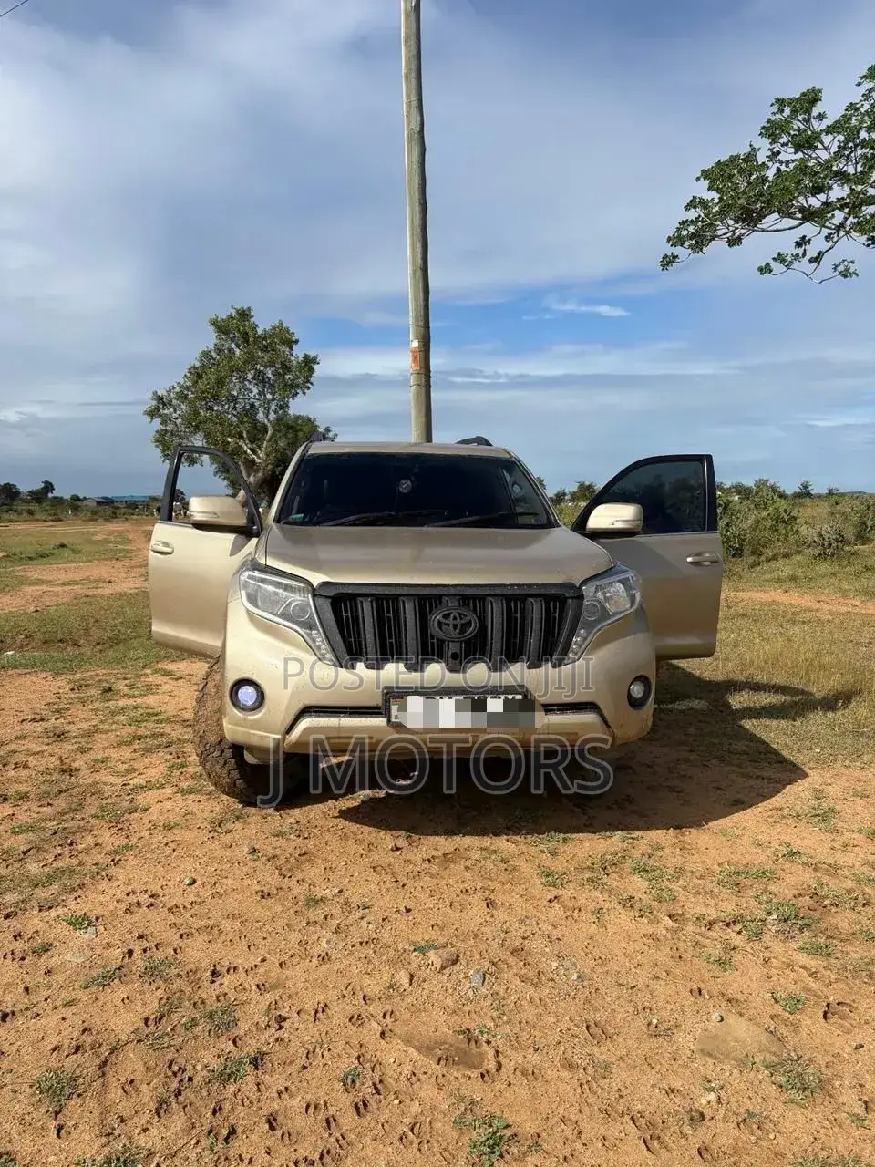 Toyota Land Cruiser 2010 Gold