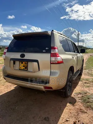 Toyota Land Cruiser 2010 Gold
