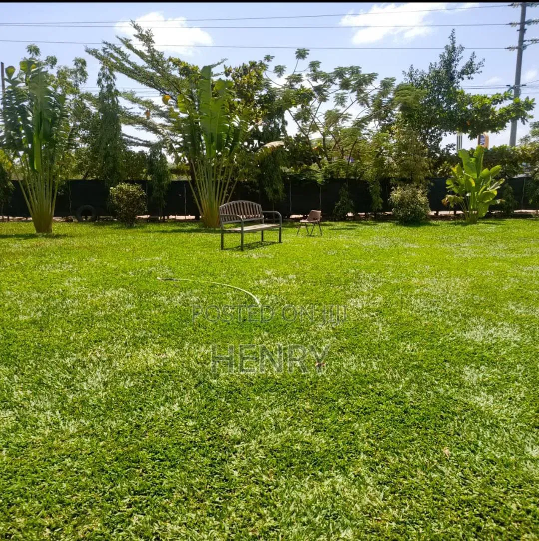 Landscaping and Gardening Services
