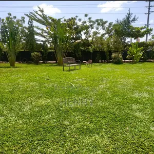 Landscaping and Gardening Services