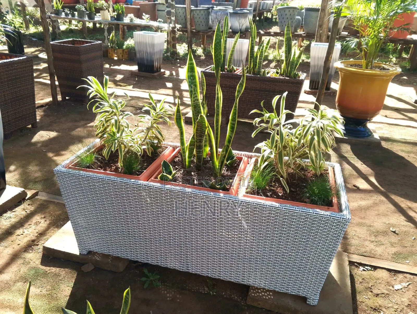 Landscaping and Gardening Services