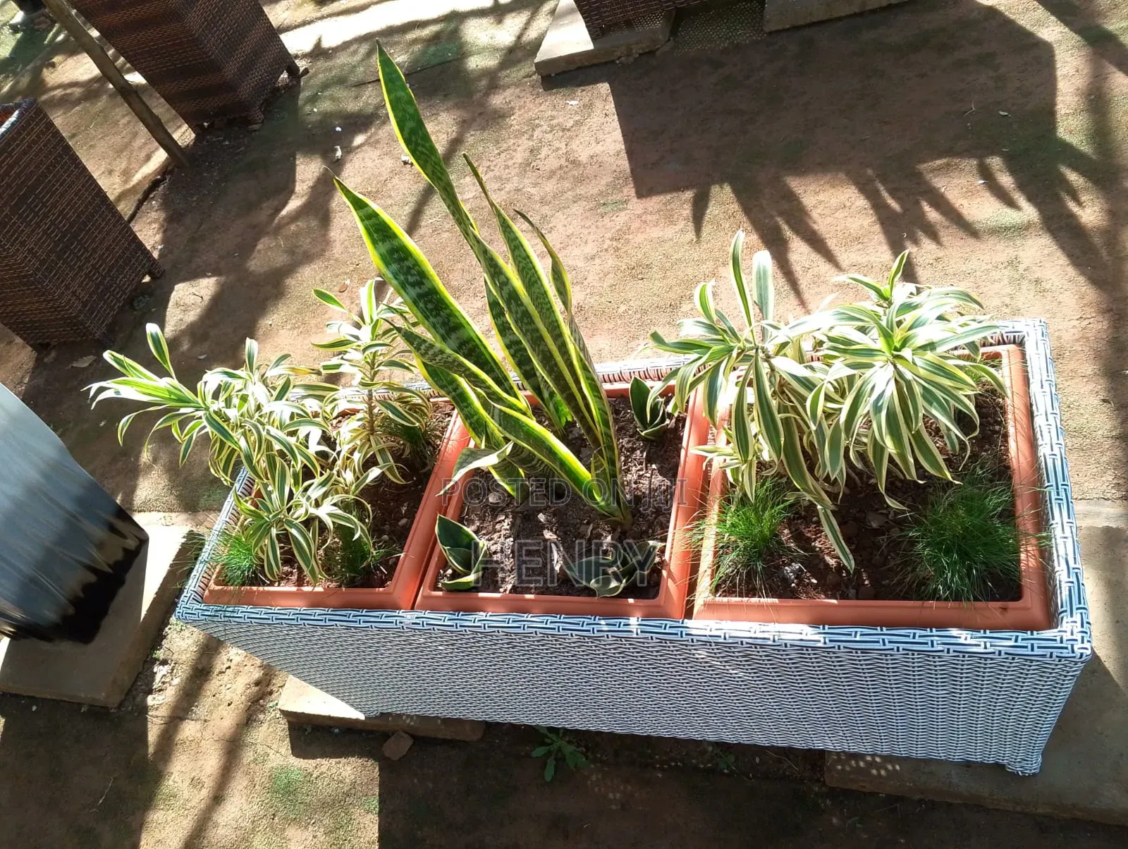 Landscaping and Gardening Services
