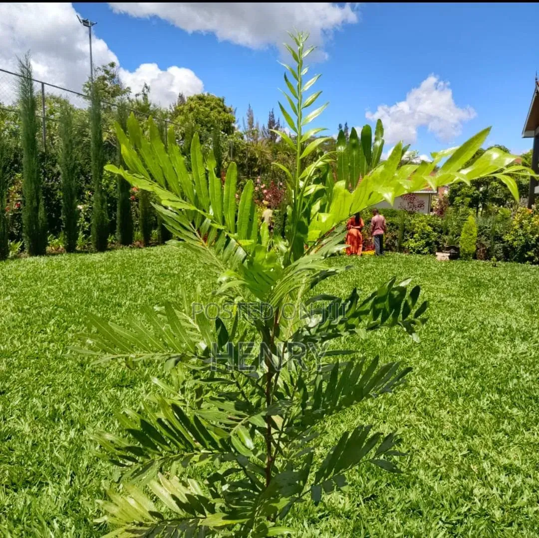 Landscaping and Gardening Services