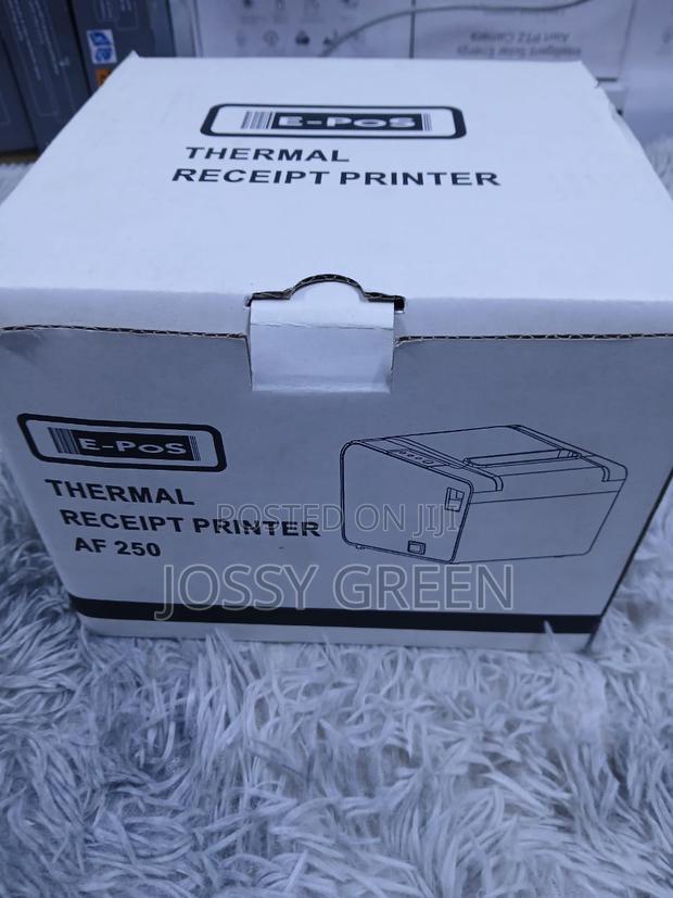 Epos Eco250 Automatic Paper Cutting Printing Thermal Receipt 80mm