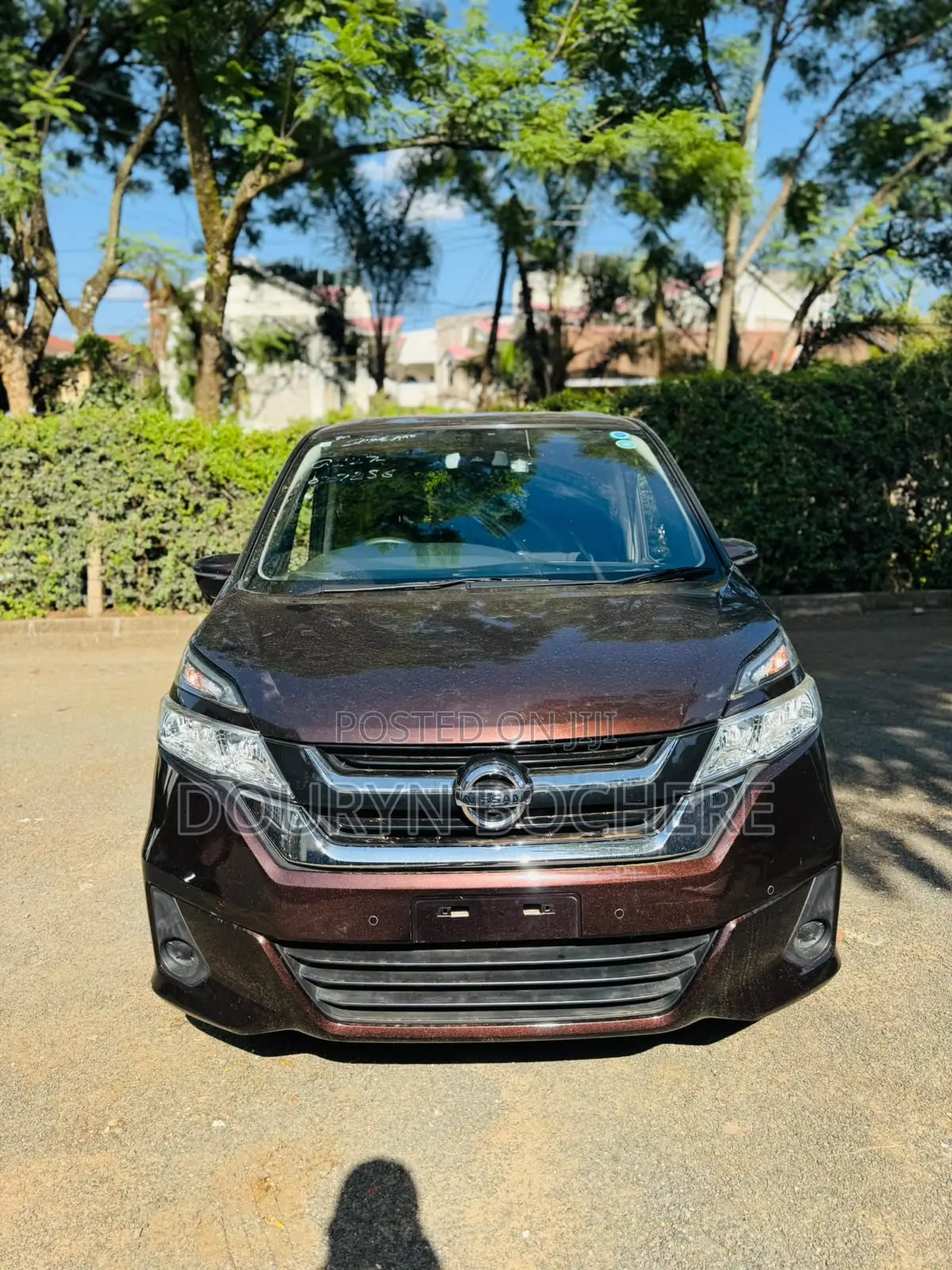 Nissan Serena 2019 Brown