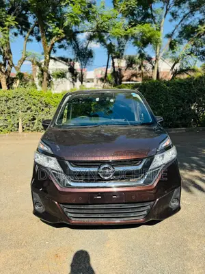 Nissan Serena 2019 Brown