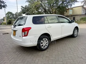 Toyota Corolla Fielder 2010 White