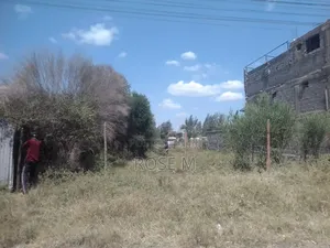 Plot for Sale