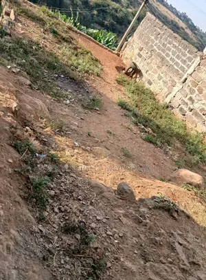Plot for Sale in Njiru 25 By50 With Laid Foundation