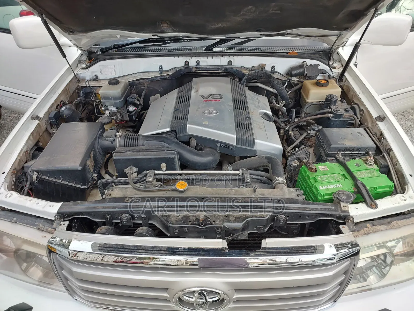 Toyota Land Cruiser 2004 White