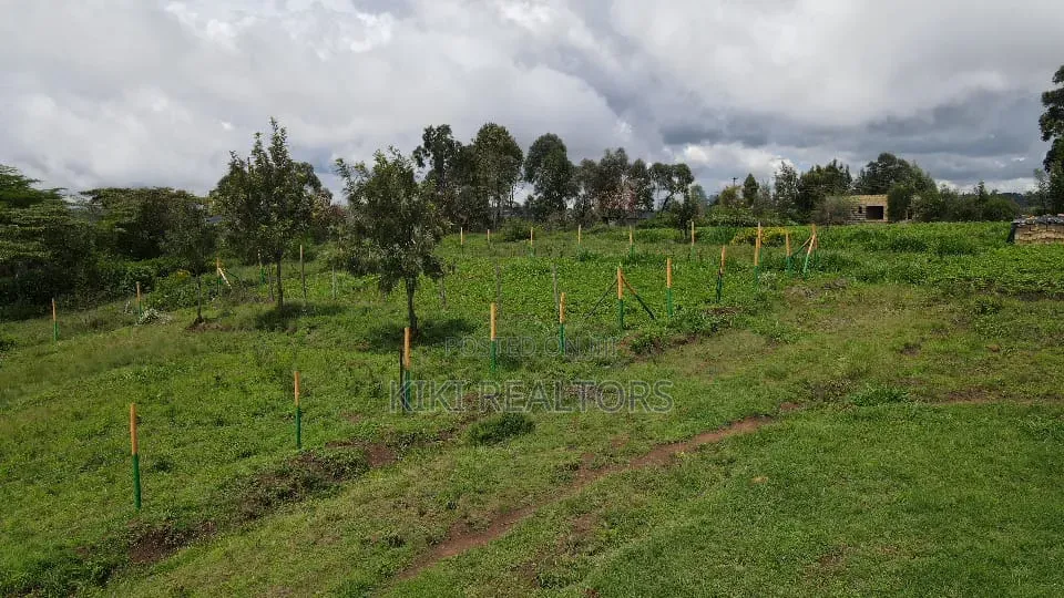 Prime 50x100ft in Kikuyu Thigio -1.5m