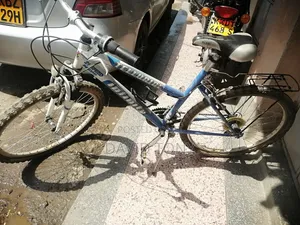 Personal Bicycle