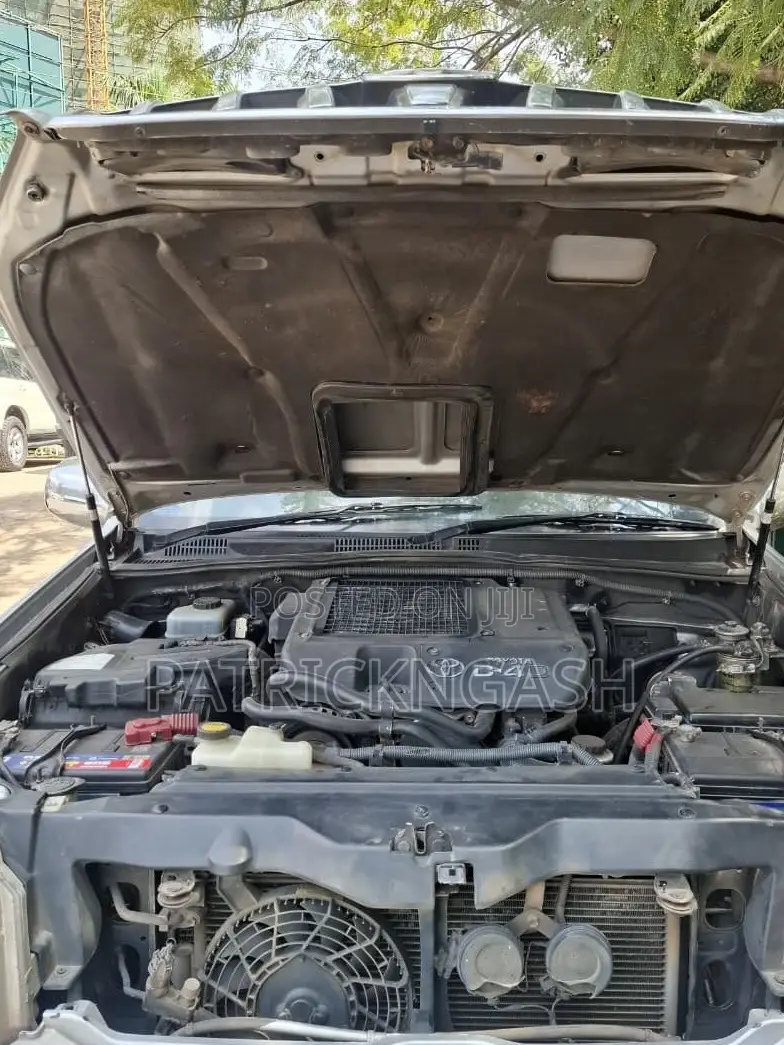 Toyota Land Cruiser Prado 2009 Silver