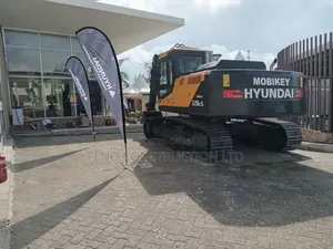 Hyundai Excavator