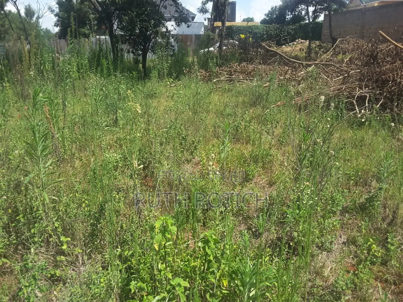 Prime Investment Opportunity in Merisho Rongai