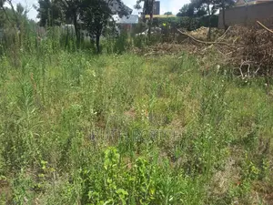 Prime Investment Opportunity in Merisho Rongai