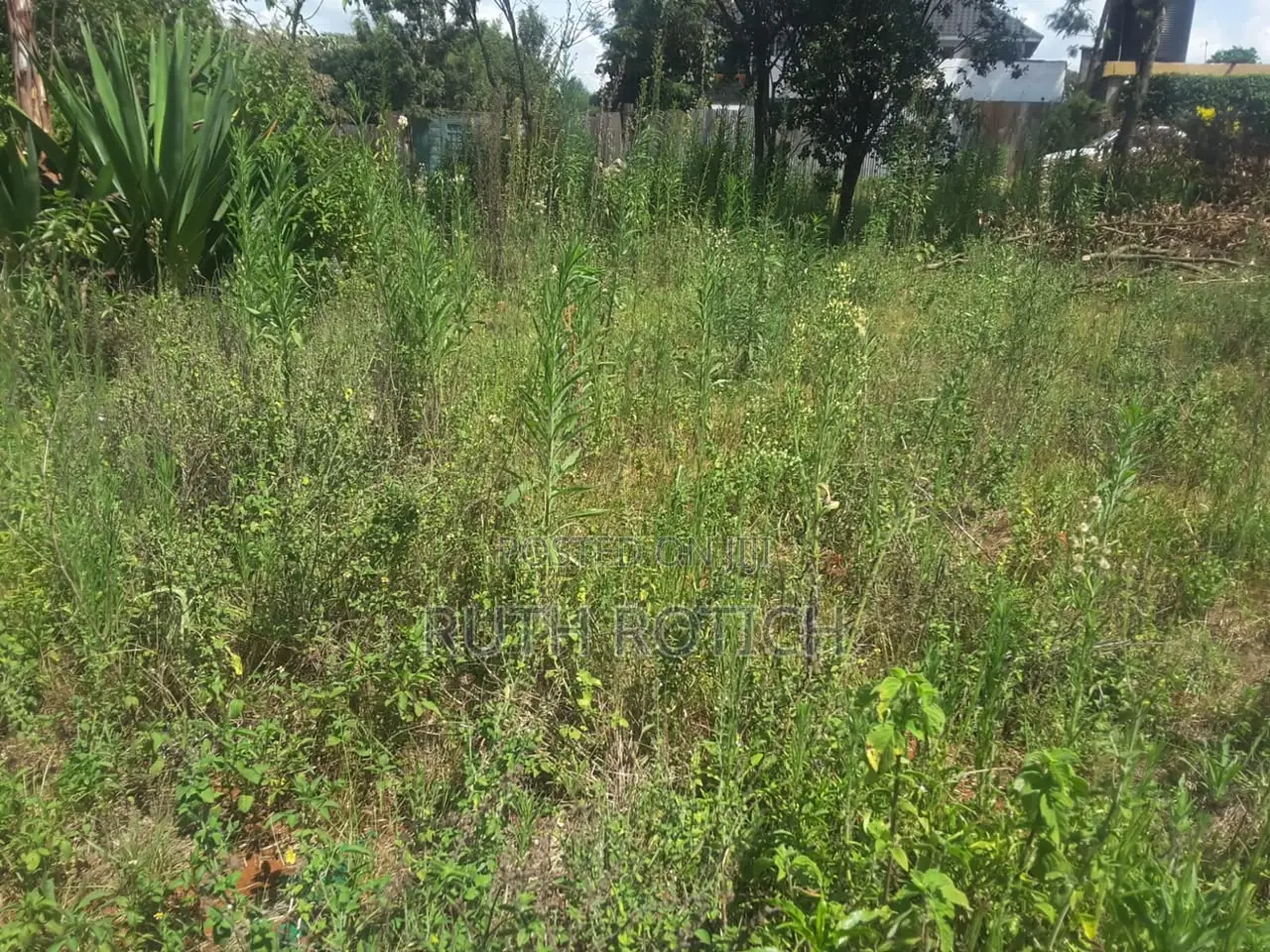 Prime Investment Opportunity in Merisho Rongai