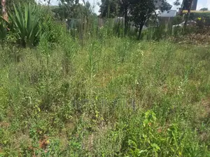 Prime Investment Opportunity in Merisho Rongai