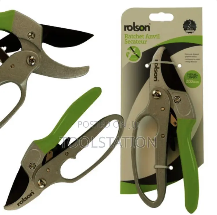 Secateurs Anvil Ratchet Action 200mm (82126) Rolson Heavy Duty