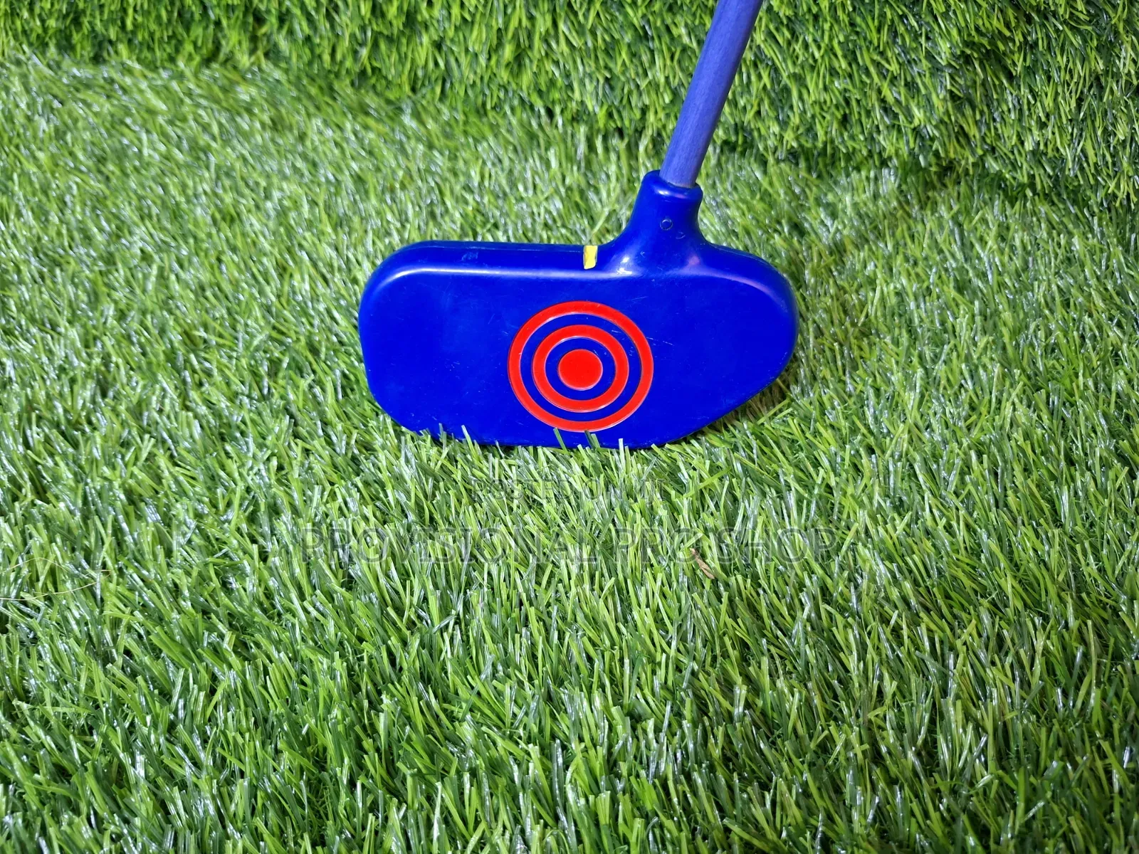 Junior Plastic Putter