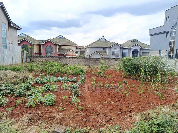 Ruiru-Mugutha Gated Residential Plot - thumbnail 4