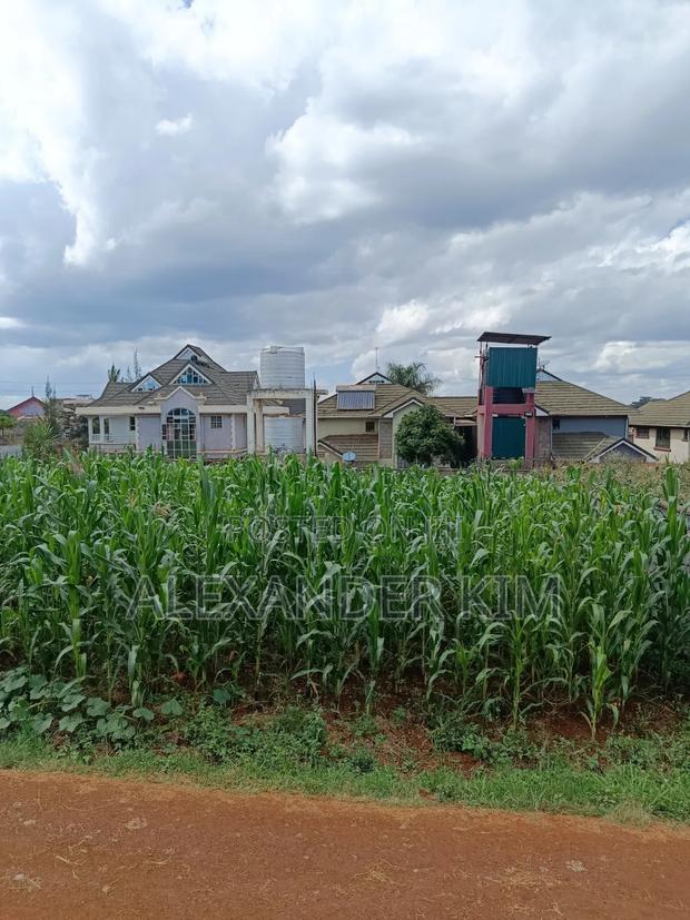 Ruiru-Mugutha Gated Residential Plot - thumbnail 7
