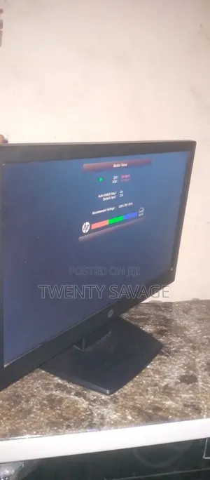 HP V197 18.5" Monitor VGA/DVI Inputs