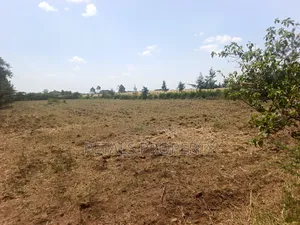 2 Acres for Sale in Chergei Kabarak