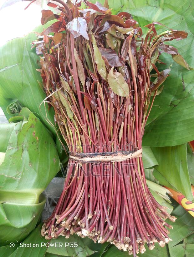 Bwegabwega Premium Miraa - main view