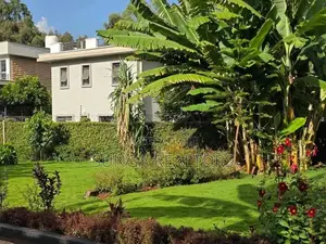 4bdrm House in Kitisuru for rent