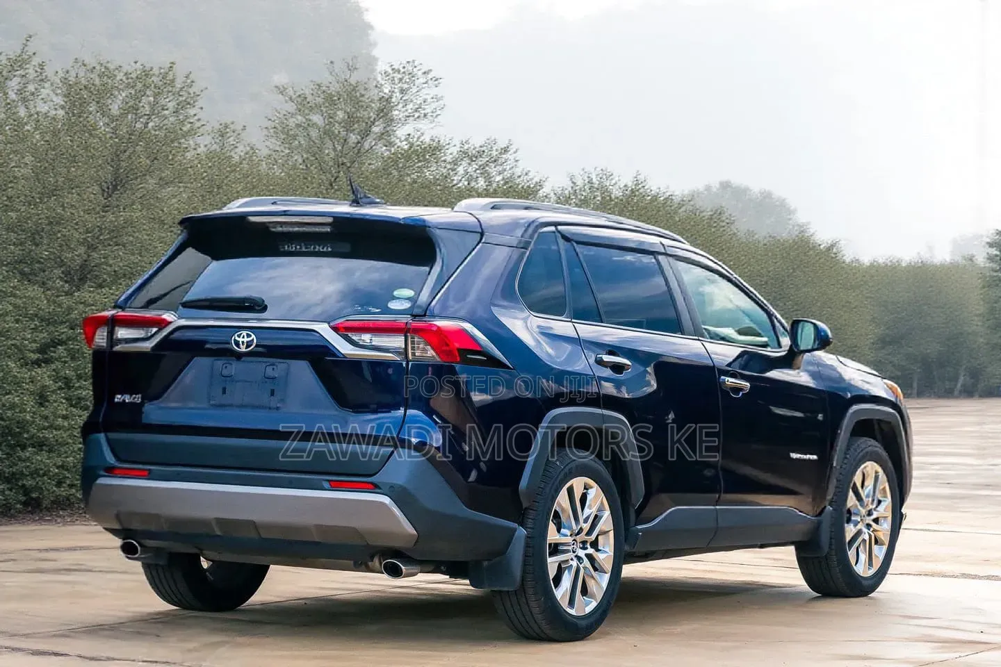 Toyota RAV4 2019 Blue