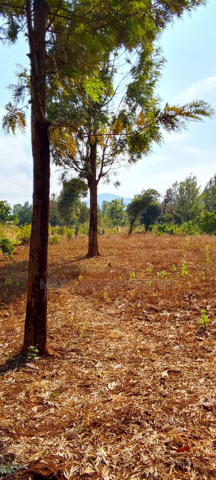 One Acre for Sale