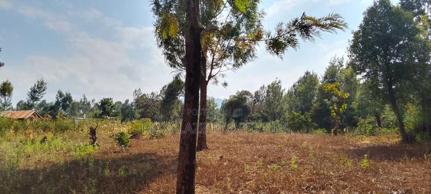 One Acre for Sale - thumbnail 2