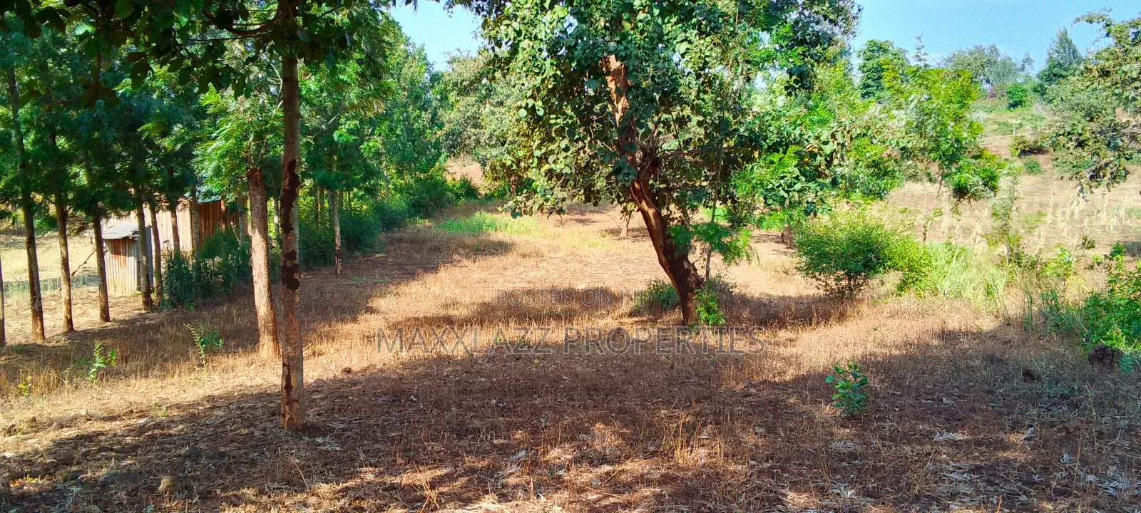 One Acre for Sale