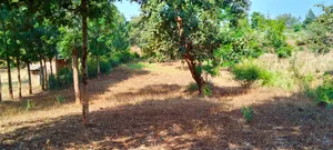 One Acre for Sale
