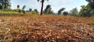 One Acre for Sale