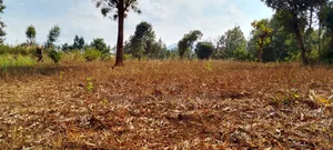 One Acre for Sale