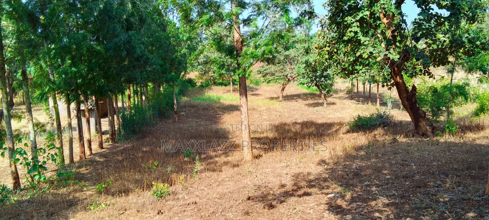 One Acre for Sale