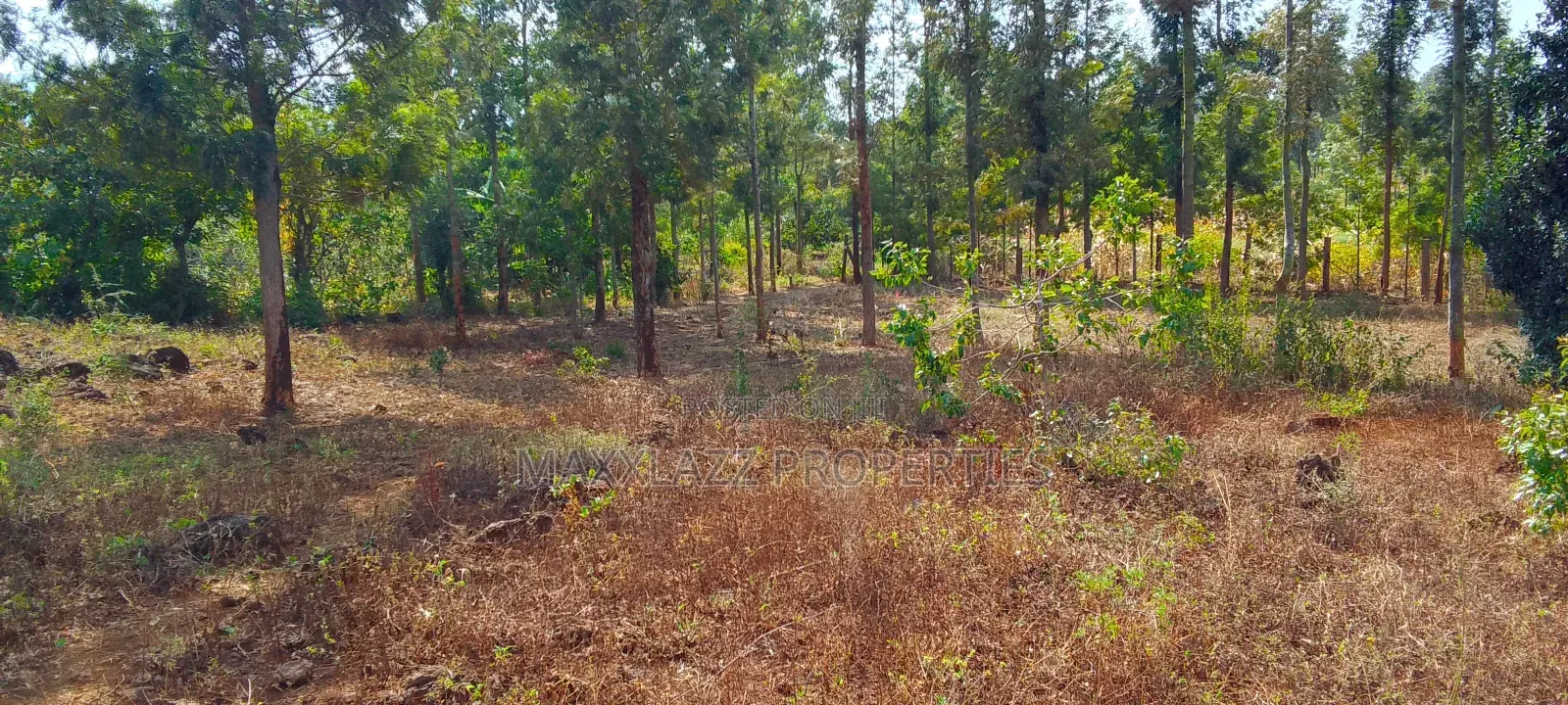 One Acre for Sale