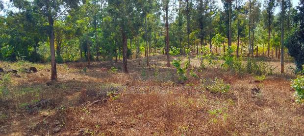 One Acre for Sale - thumbnail 8