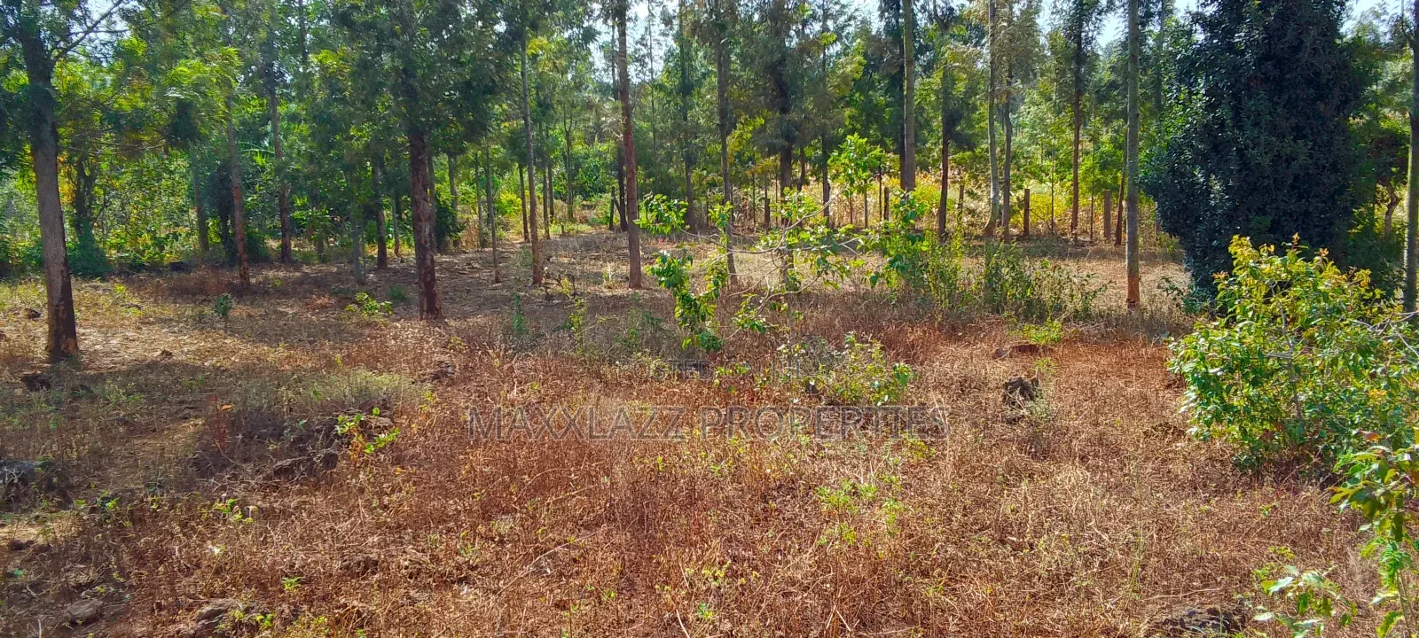 One Acre for Sale