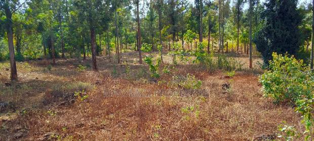 One Acre for Sale - thumbnail 9