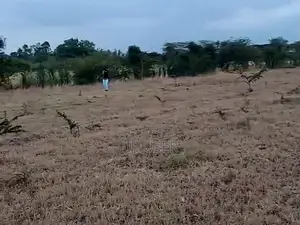 Plots in Koma, Near Komarock Primary School
