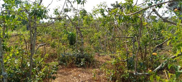 Prime Eighth Acre for Sale - thumbnail 4