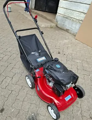 Gasoline Lawn Mower 5hp