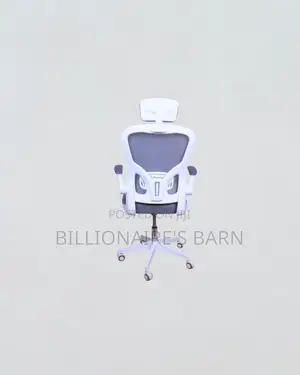 Practical Ergonomic Office Chair With Headrest for All Day Support