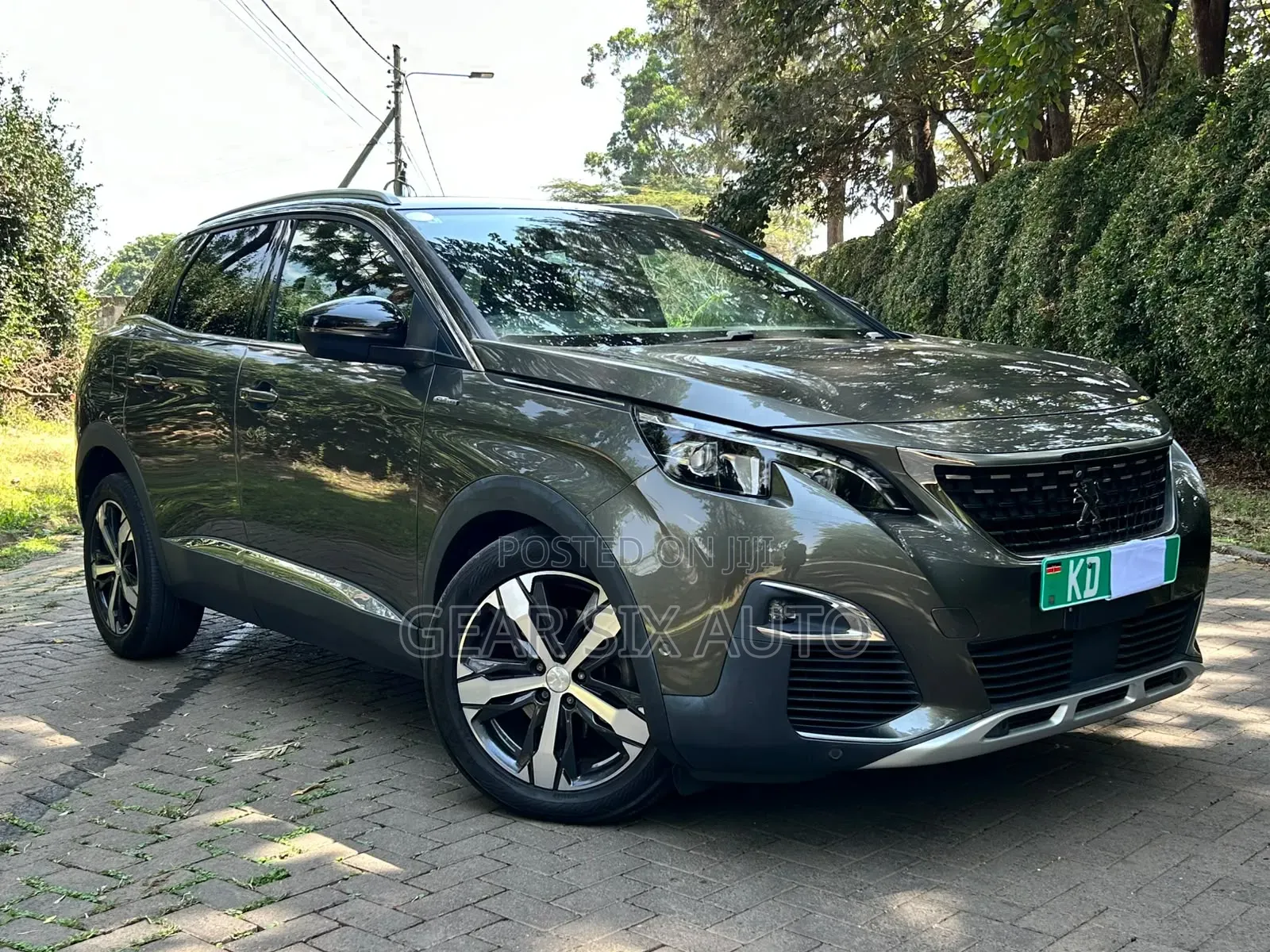 Peugeot 3008 2019 Gray