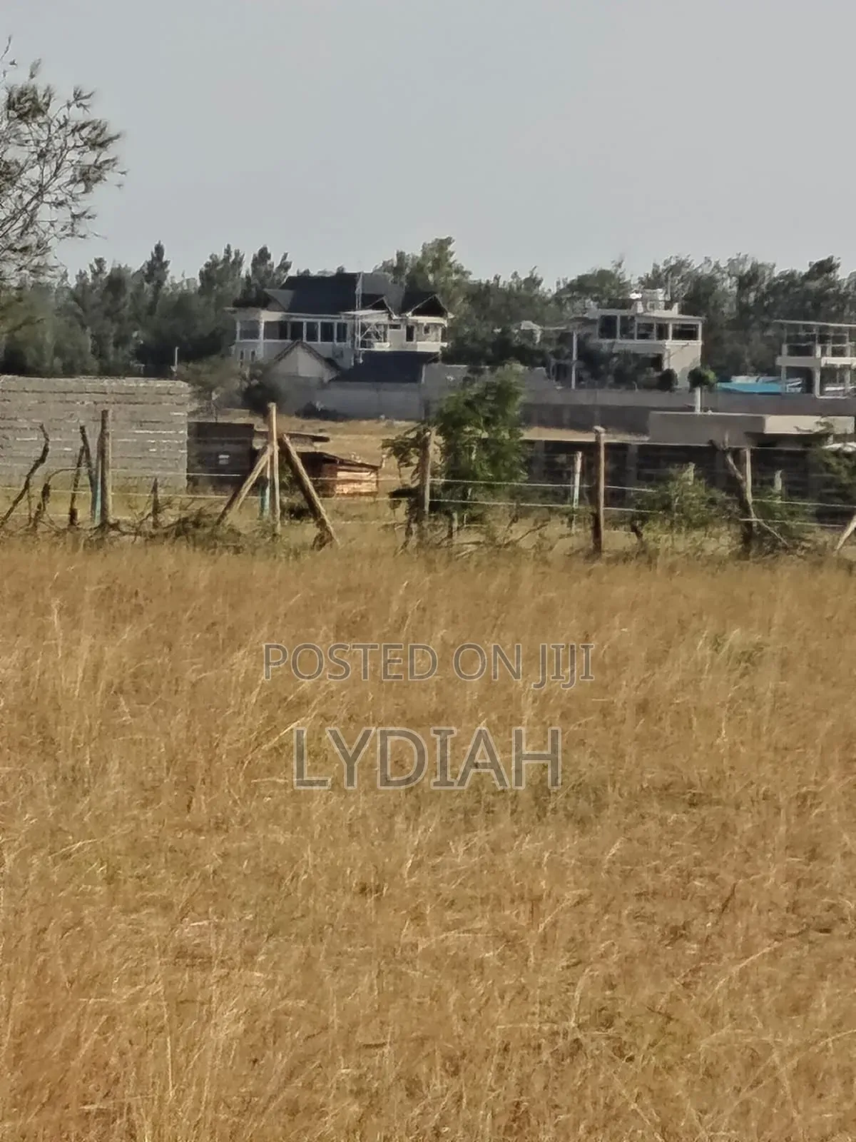 50 by 100 Plots for in Juja Ndarasha Murera